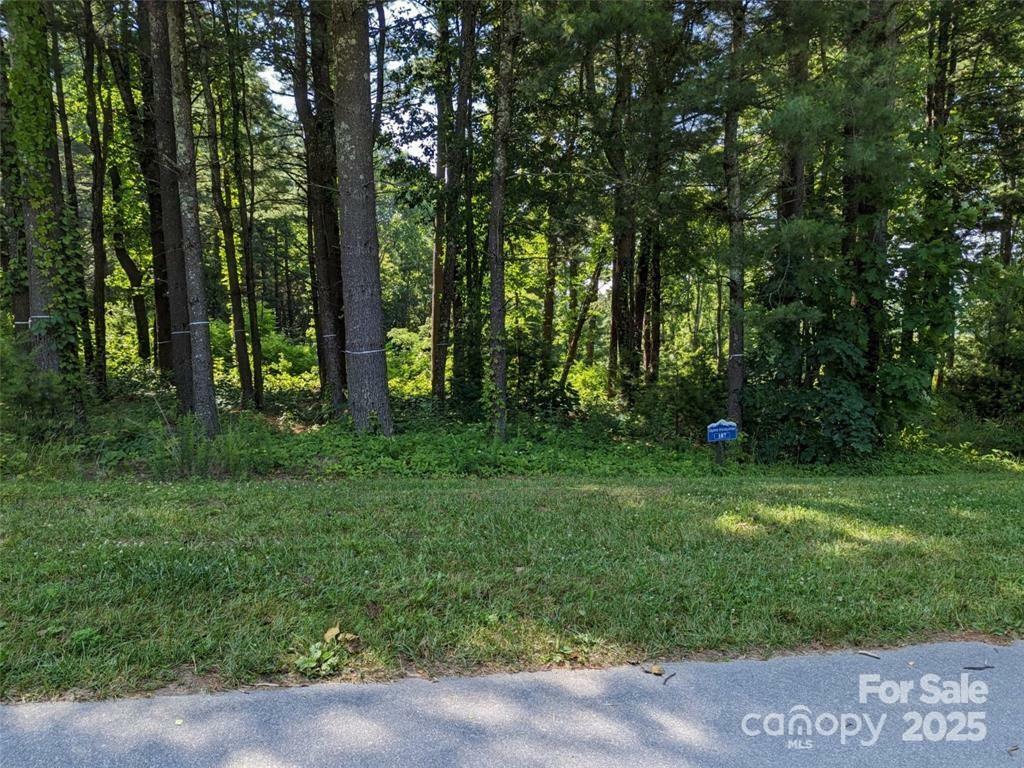 669 Dancing Bear Drive 187  Hendersonville NC 28792 photo