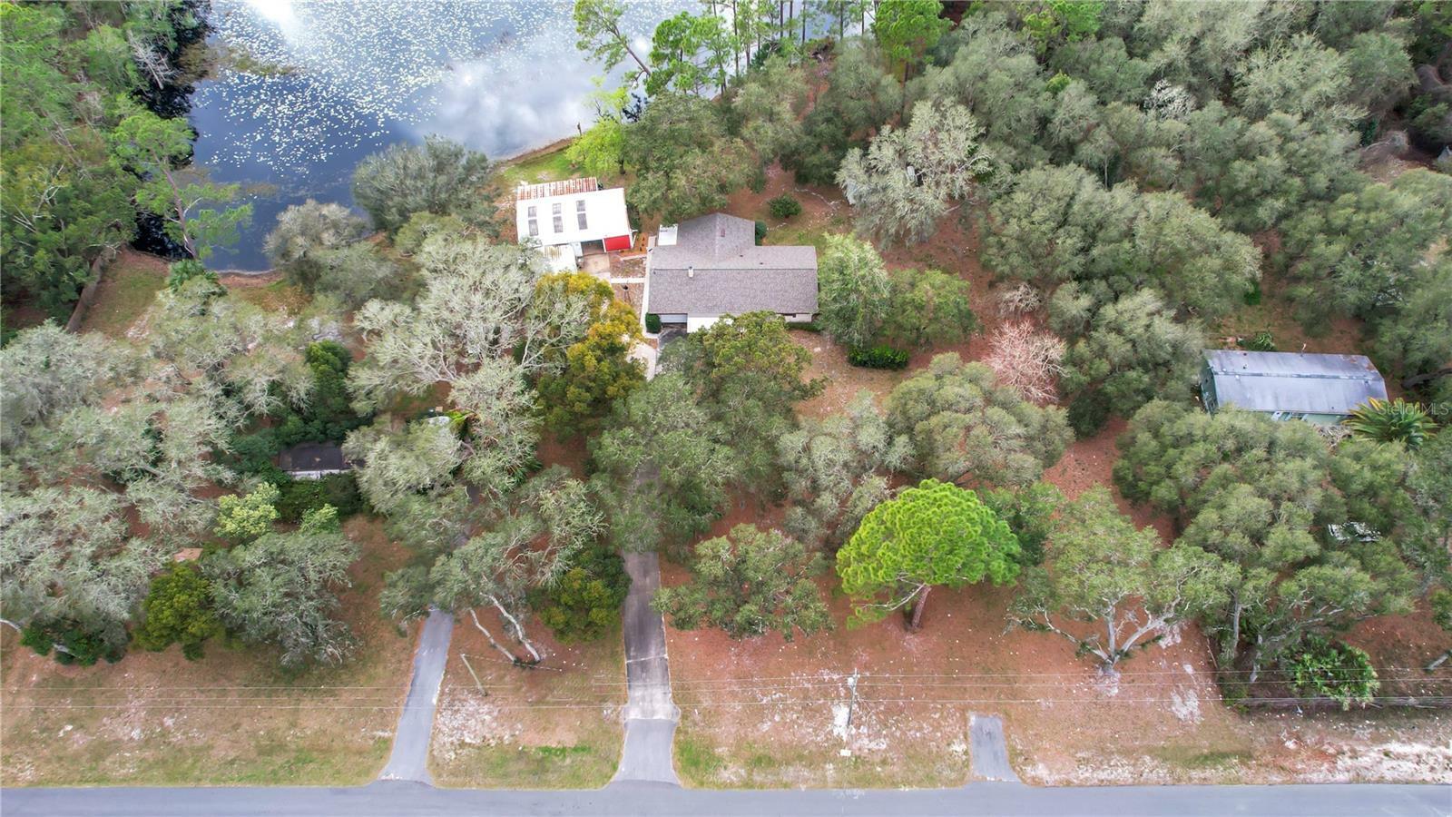 Property Photo:  31241 Benton Drive  FL 32736 