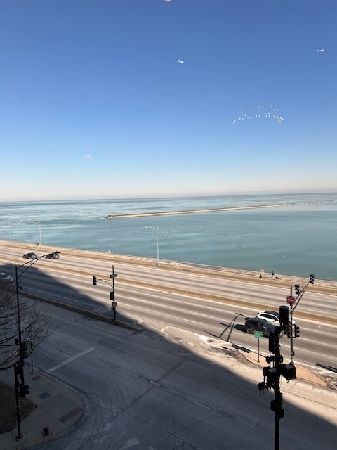 Property Photo:  850 N Lake Shore Drive 512  IL 60611 