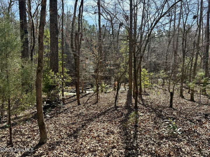 Property Photo:  00 Old Tar Landing Road  NC 28540 