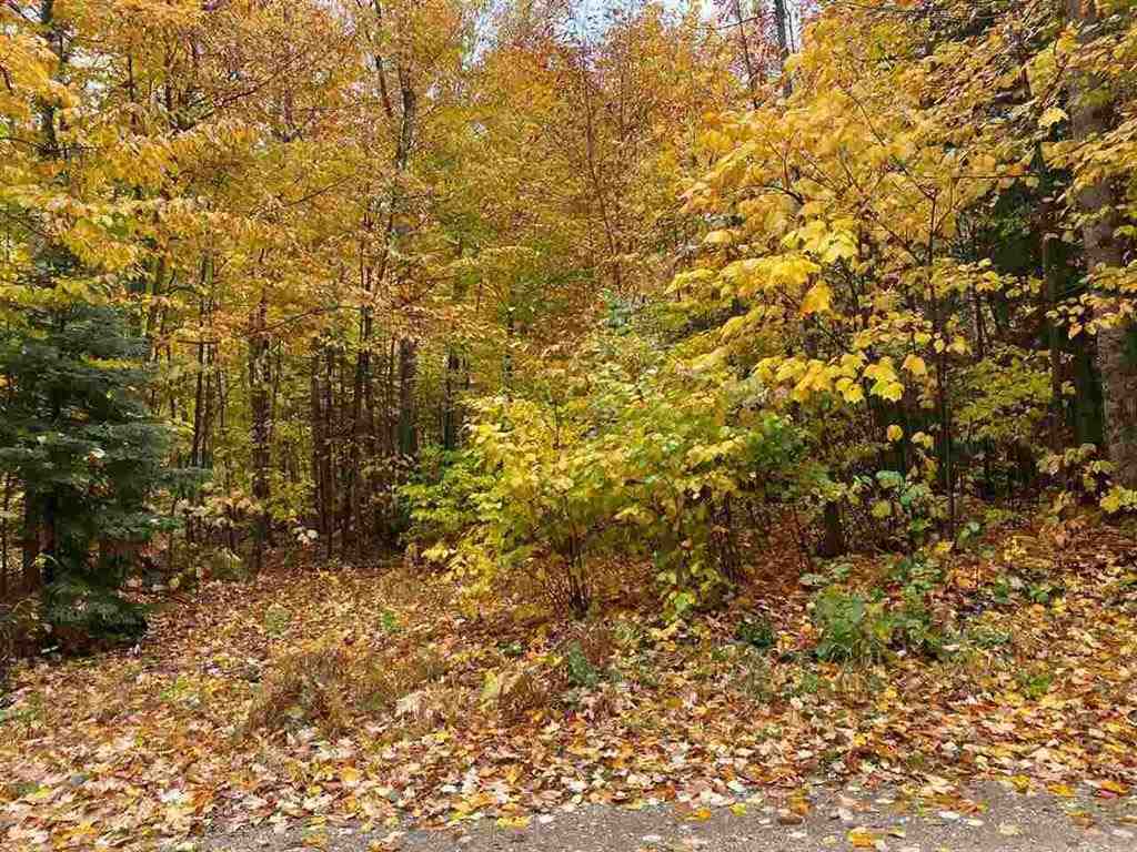Property Photo: 7 &Amp 8 Cadotte MI 49701