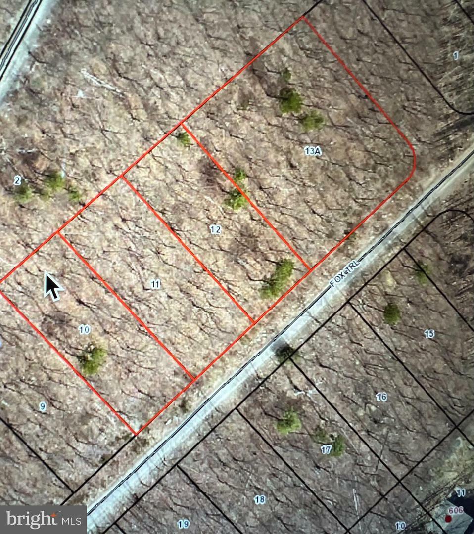 Property Photo: Lot 10,11,12-13 A Fox Trail 602 VA 22602