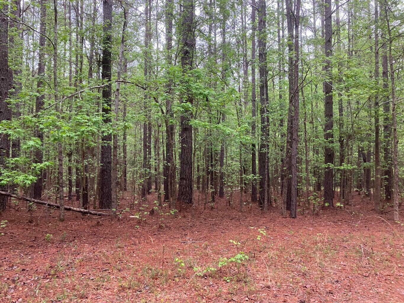 0 Gales Road  Appling GA 30802 photo