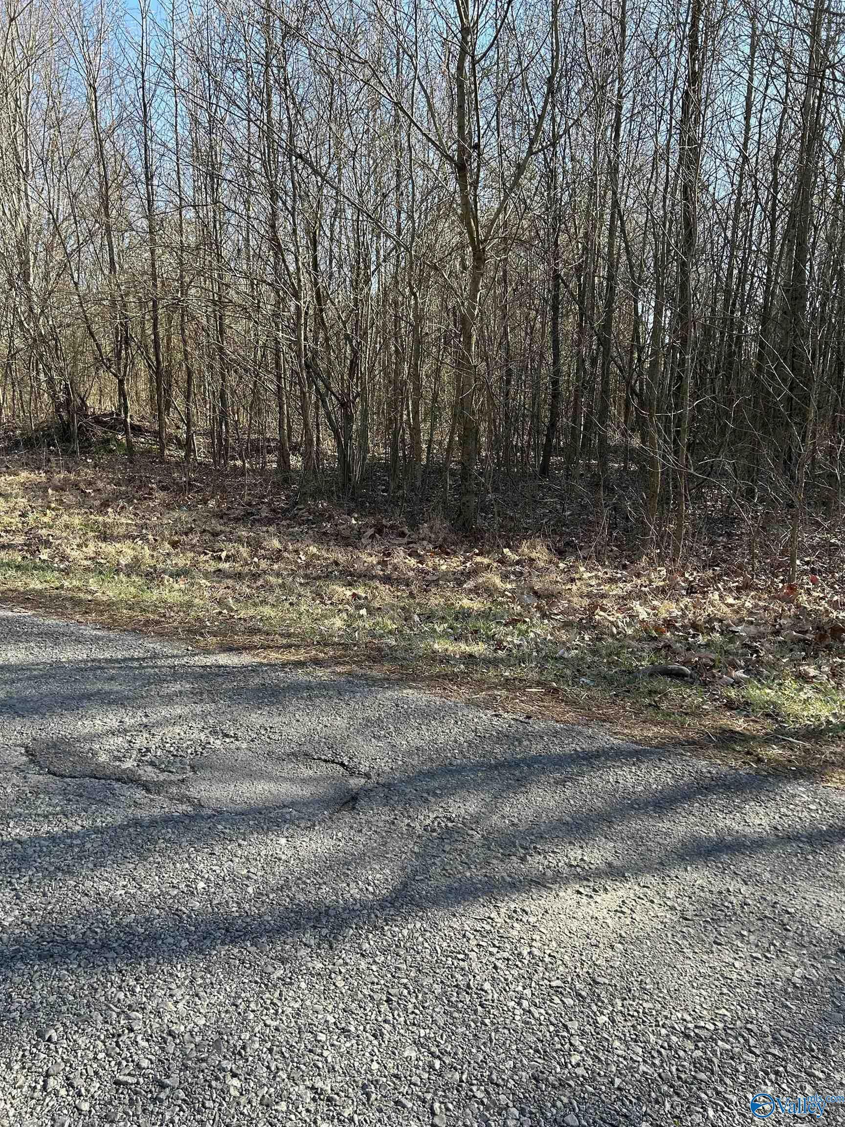 Property Photo:  1 Acre Willis Road  AL 35175 