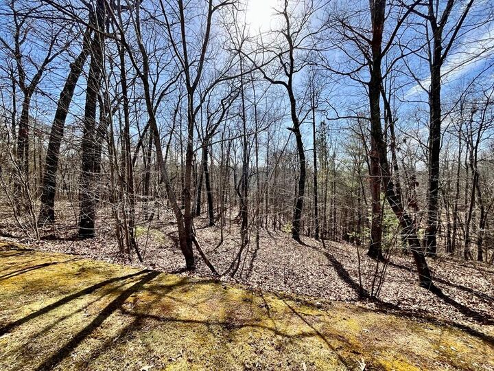 Lt 129 Harris Creek Drive  Ellijay GA 30540 photo
