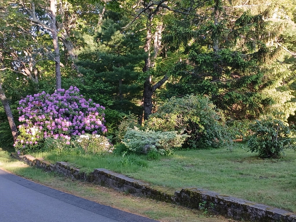 Property Photo:  43 Poponessett Rd  MA 02635 