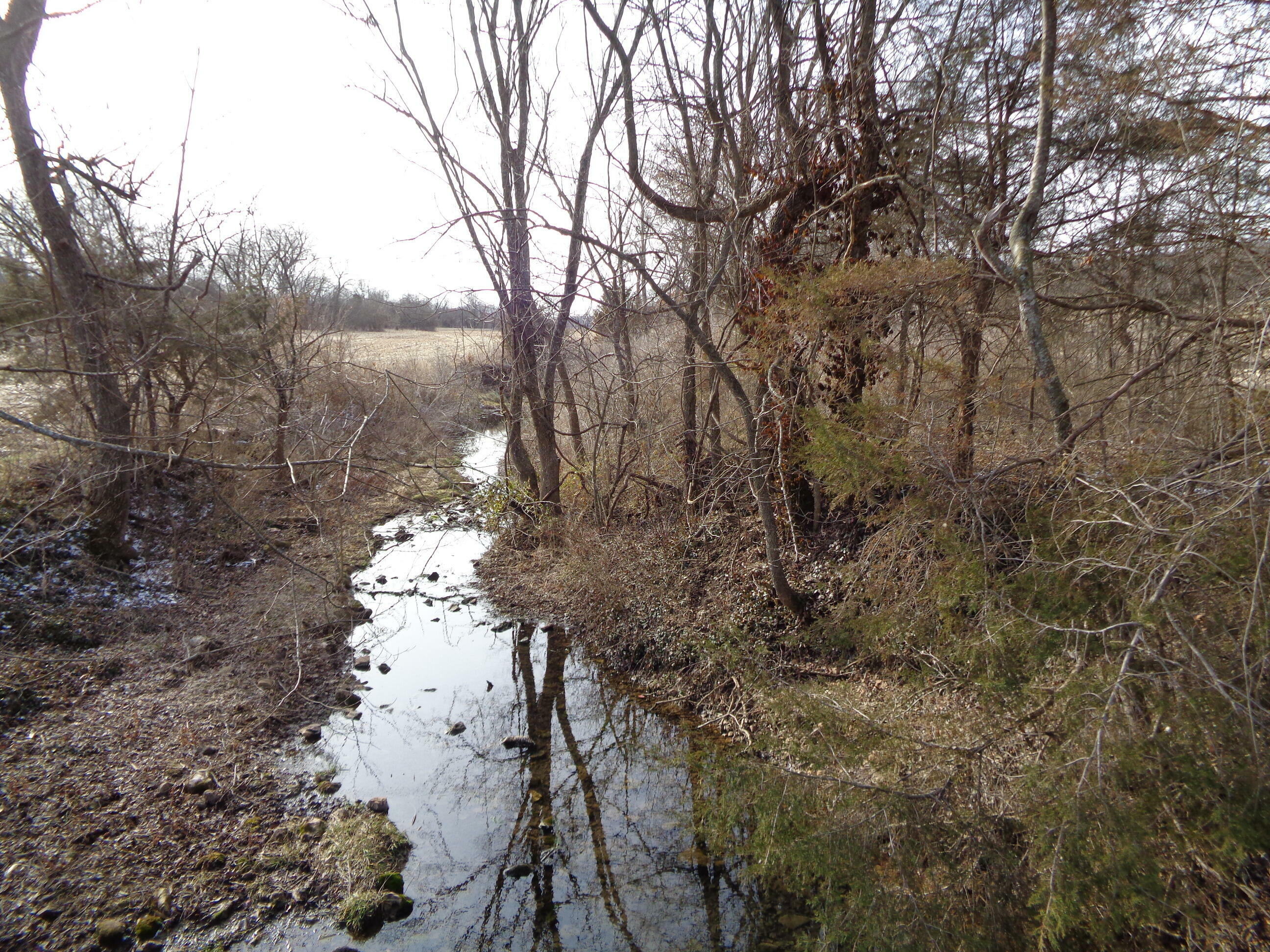 Property Photo:  Lot 3 S Farm Rd 83  MO 65802 