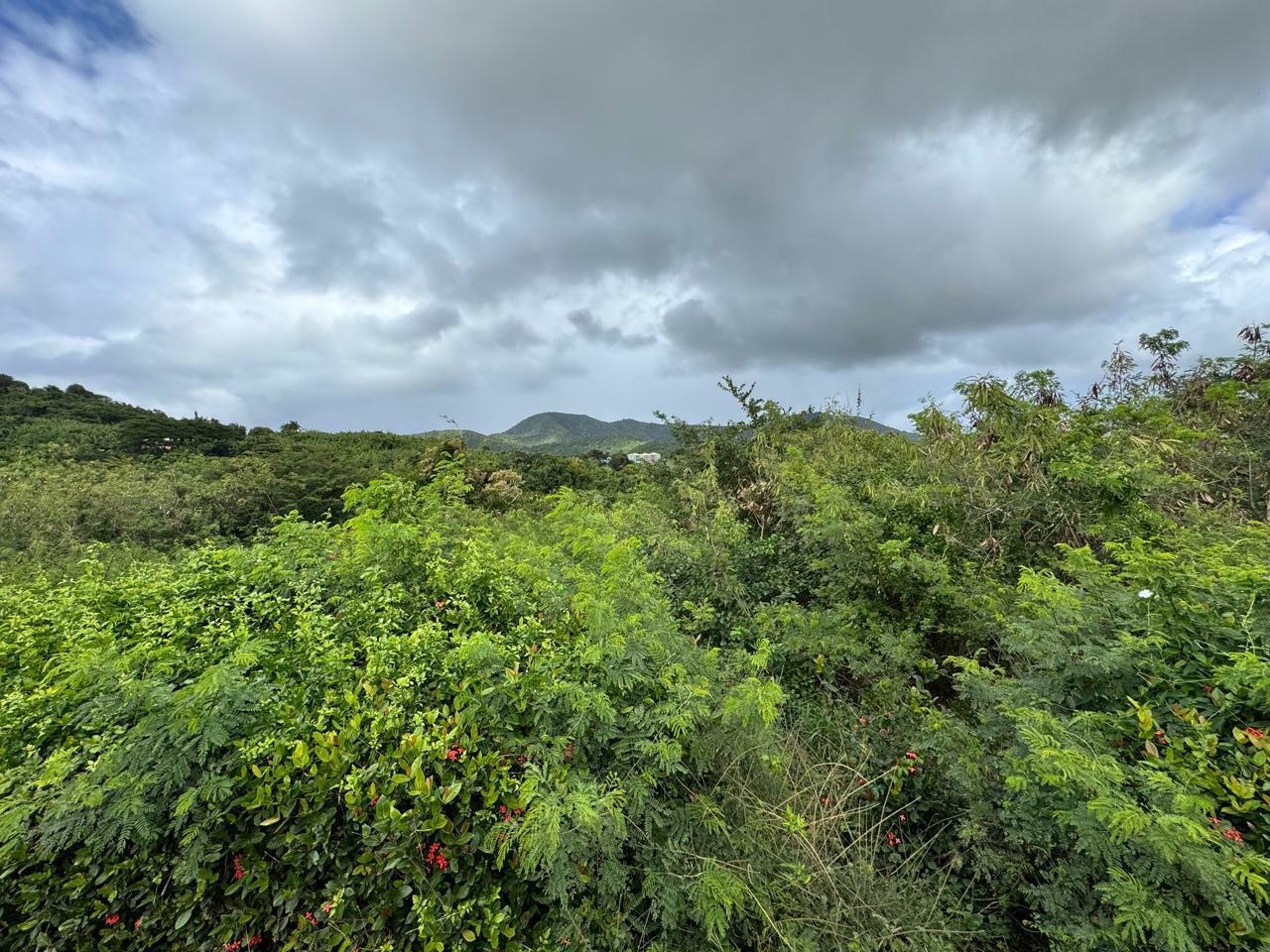 Property Photo: 354 Grove Place Pr VI 00850