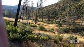 Property Photo:  0 Butts Canyon Road  CA 94567 