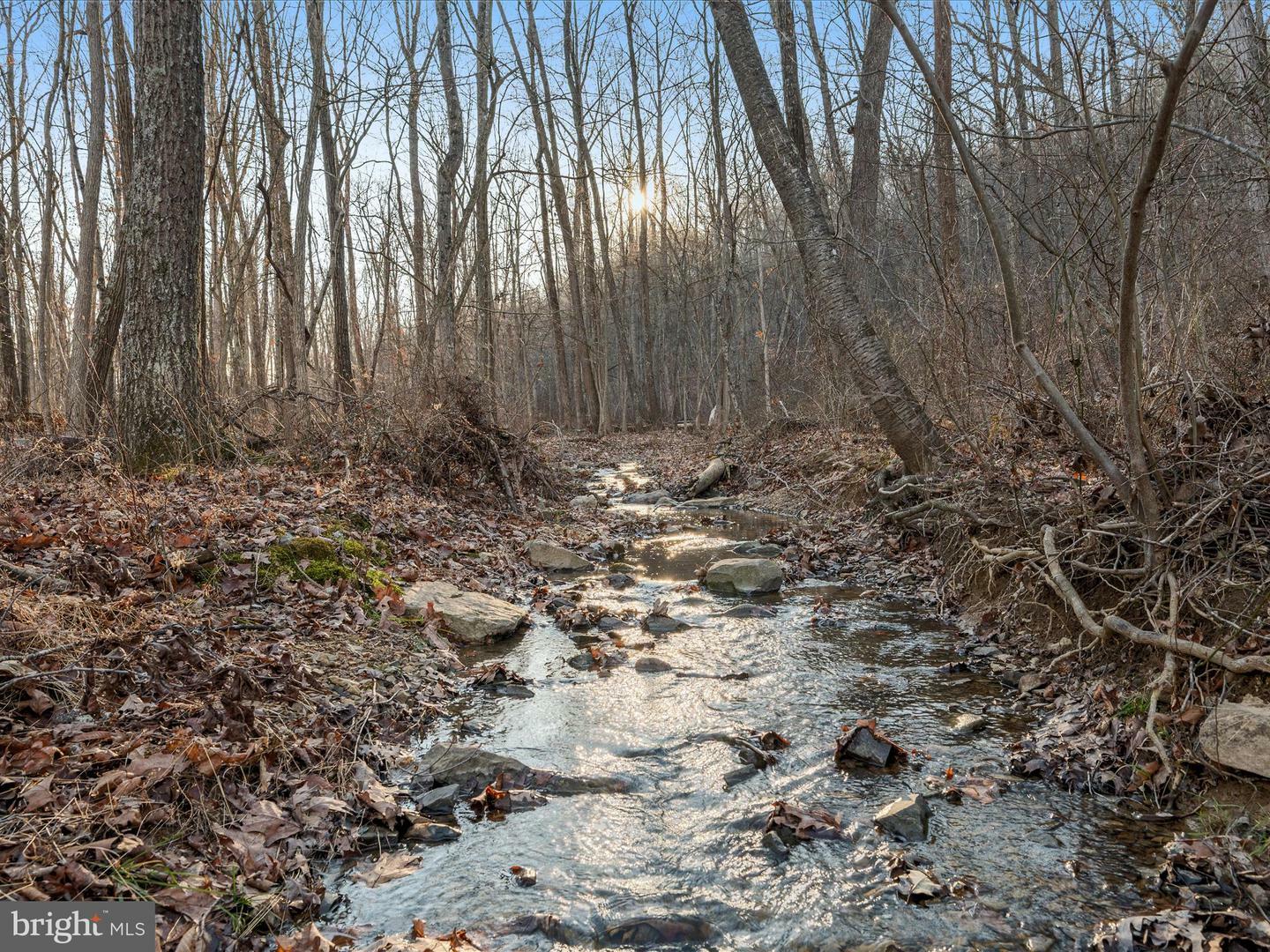 Property Photo:  Lot 1 Back Creek Rd  VA 22637 