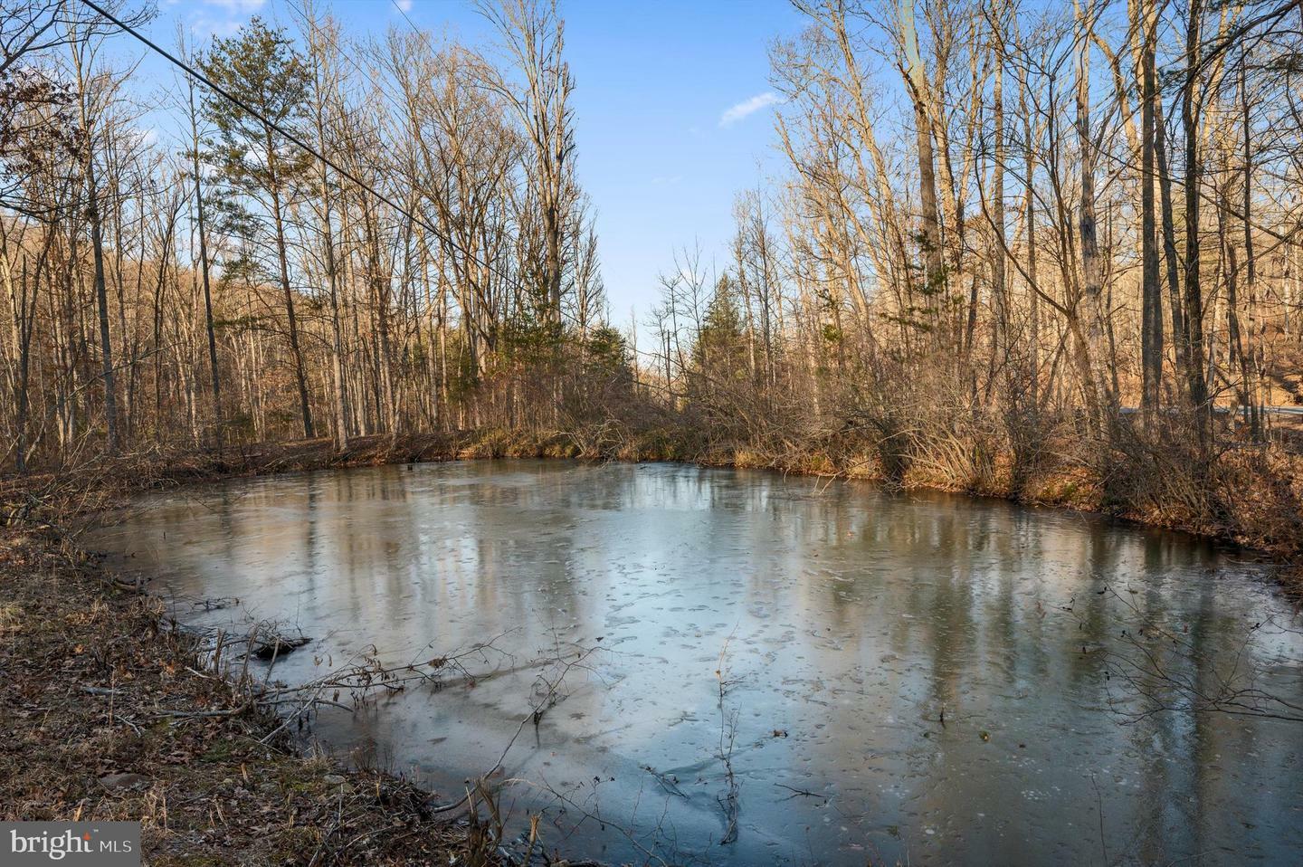 Property Photo:  Lot 4 Back Creek Rd  VA 22637 