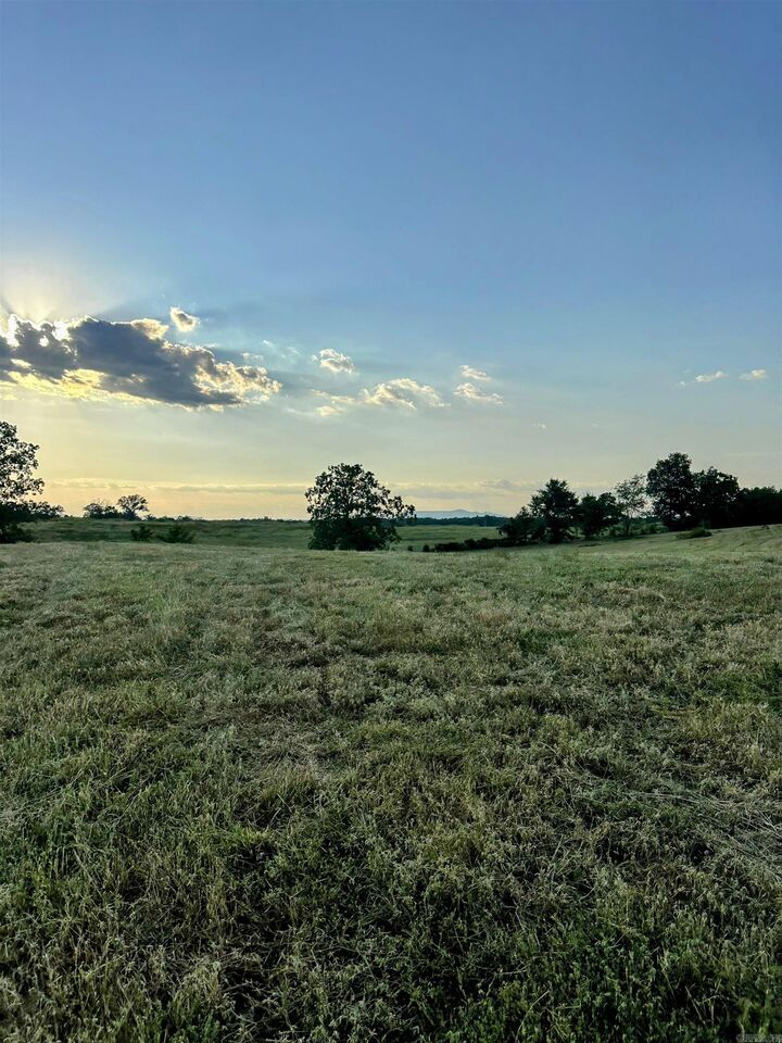 Property Photo: Unk Polk Road 62 AR 71953