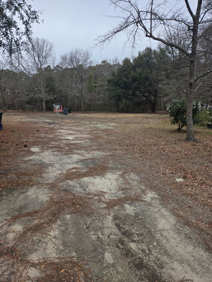 133 Summer Duck Lane  Bonneau SC 29431 photo