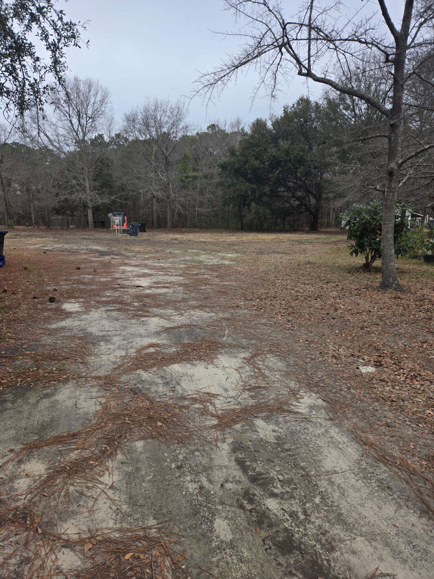 Property Photo:  133 Summer Duck Lane  SC 29431