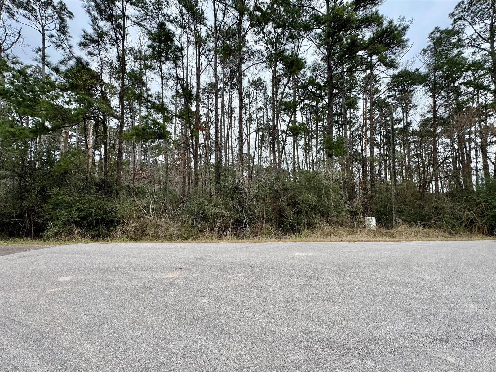 Property Photo: Lot 107 Whisperwood Drive TX 77360