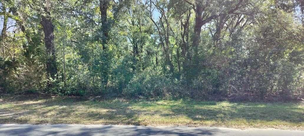 Property Photo:  517 S Savary Avenue  FL 34453 