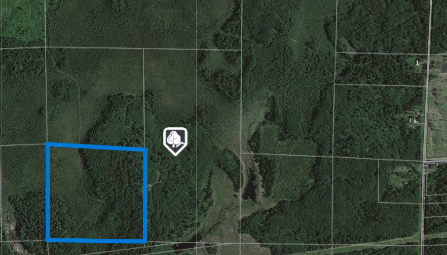 Xxxx Stepetz Road  White Twp MN 55705 photo