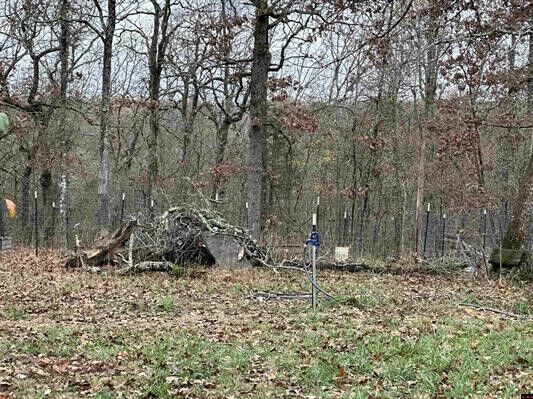 Property Photo: 23 Jayda Lane AR 72623