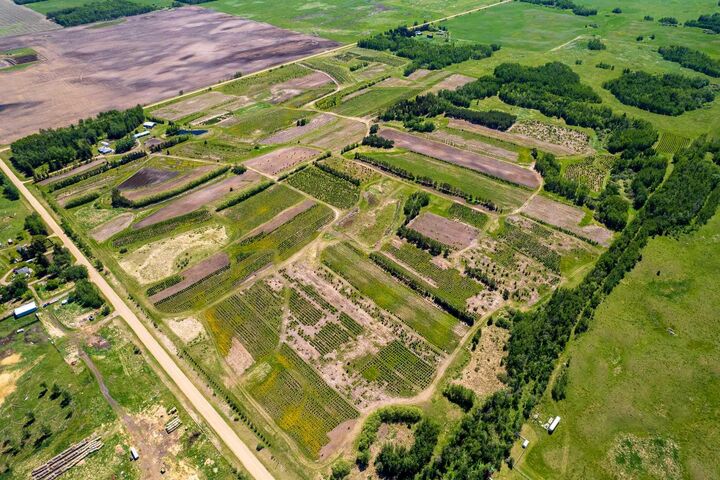 272007 Twp Rd 452  Rural Wetaskiwin No. 10, County of AB T0C 1H0 photo