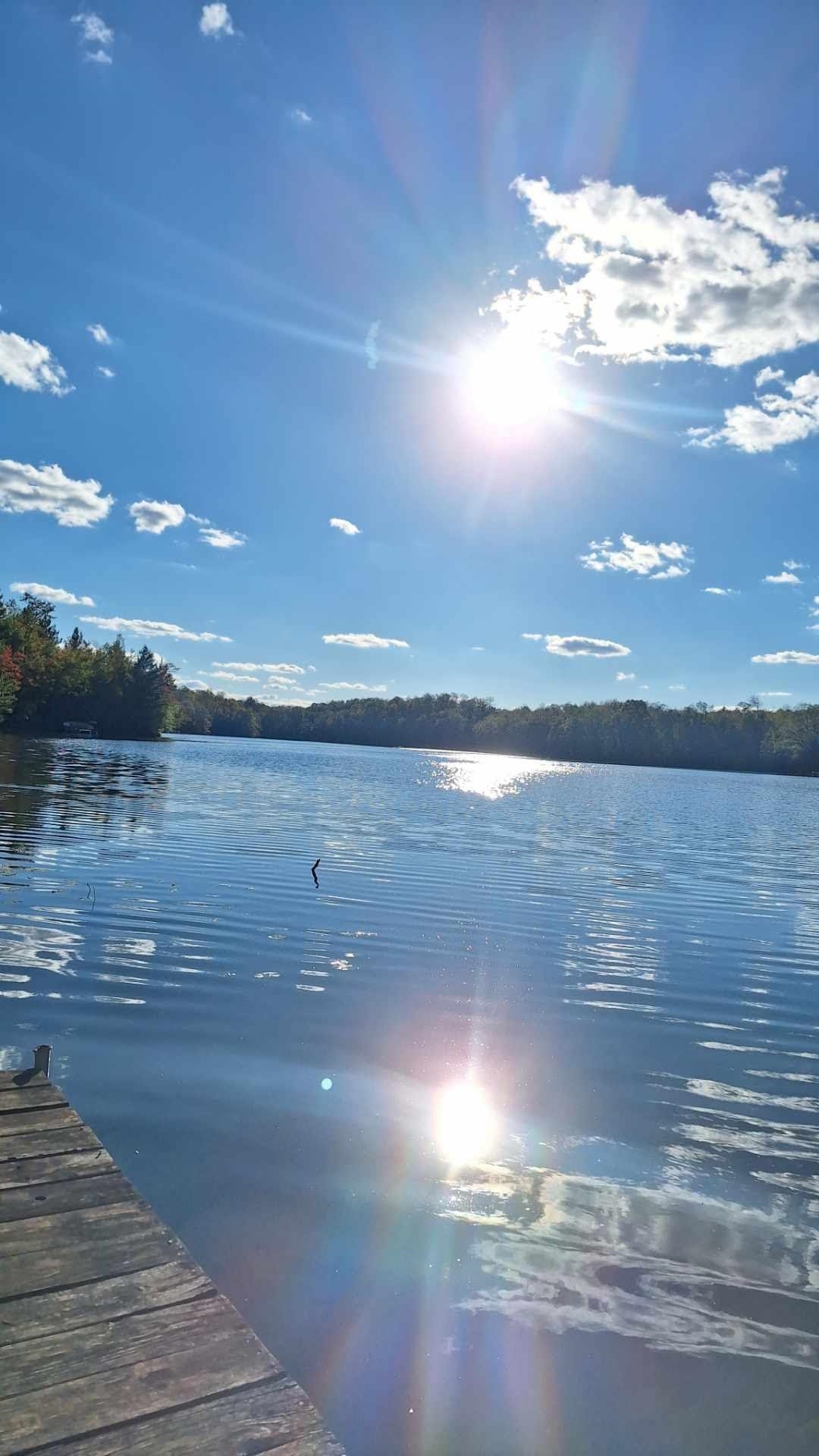 Property Photo: 16255 Crestview Drive WI 54149