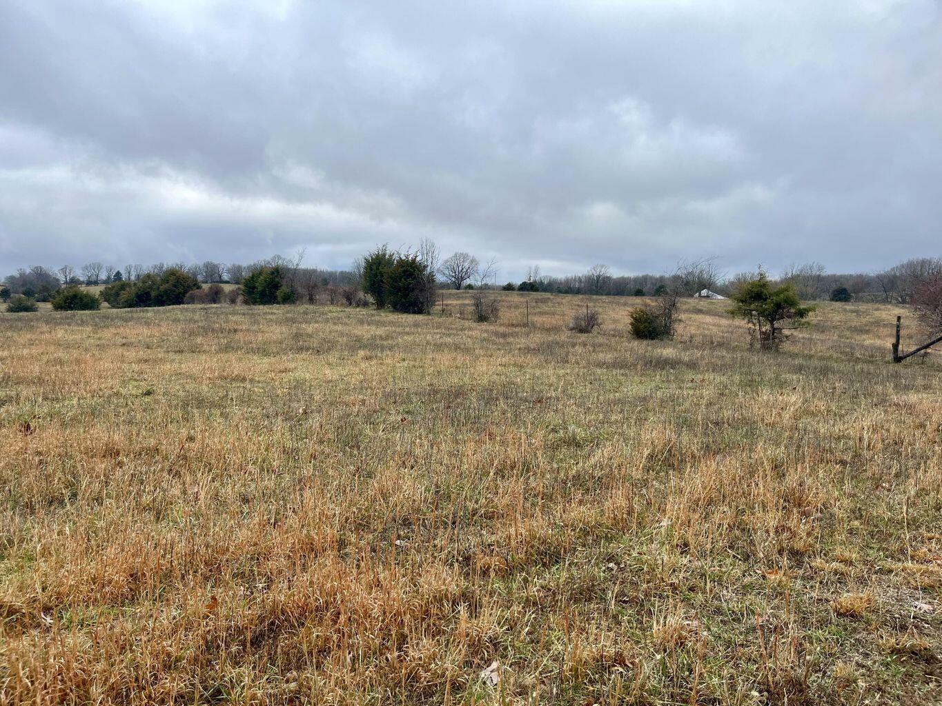 Property Photo: 000 Lawrence 2130 Tract 3 MO 65705
