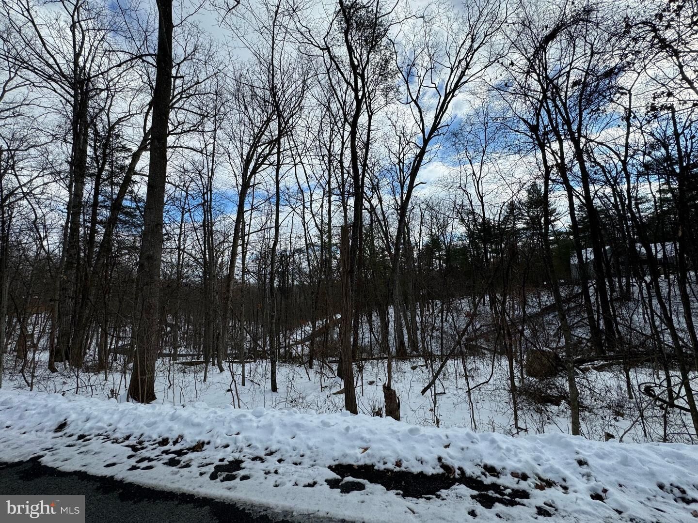 Property Photo:  Lot 316 Sycamore Rd  VA 22842 