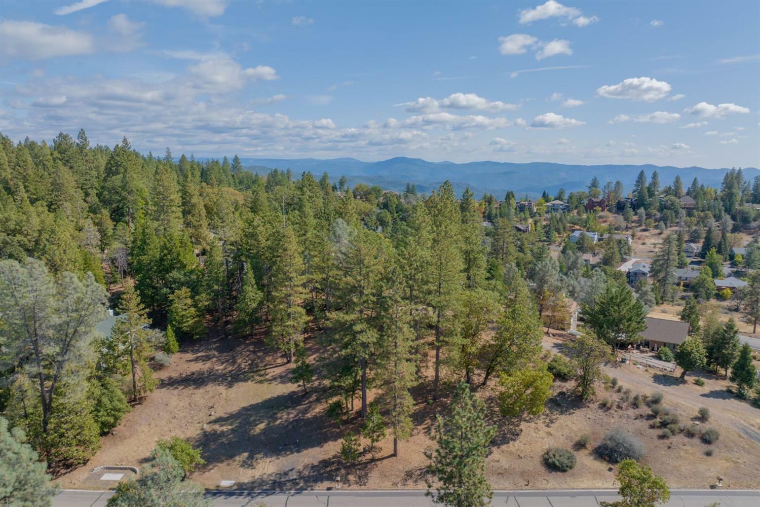 323 Forest Meadows Drive  Murphys CA 95247 photo
