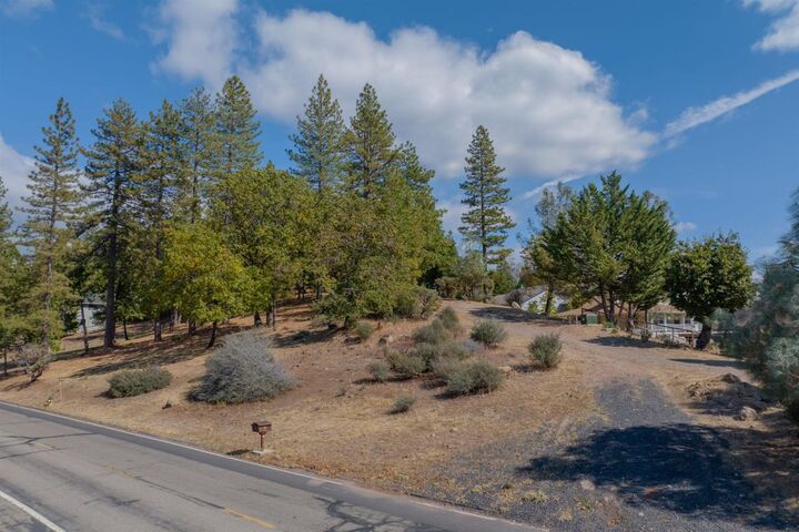 323 Forest Meadows Drive  Murphys CA 95247 photo