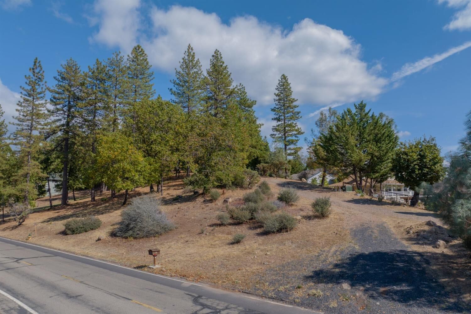Property Photo: 323 Forest Meadows Drive CA 95247