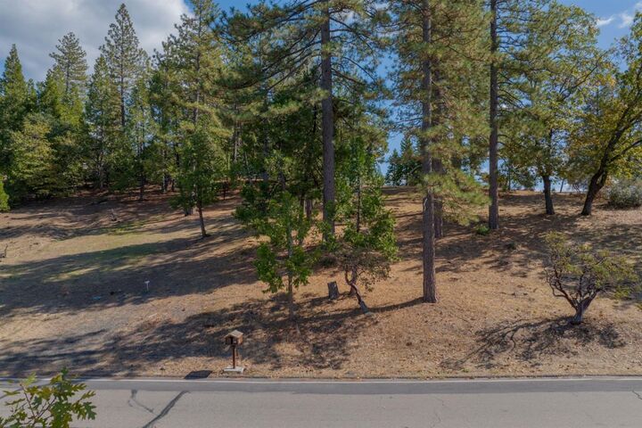 323 Forest Meadows Drive  Murphys CA 95247 photo