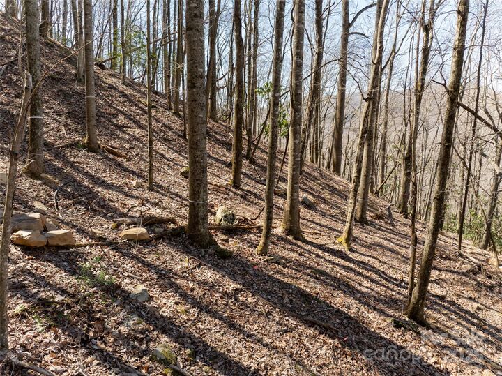 Property Photo: 9999 Laurel Drive 12 &Amp 13 NC 28759