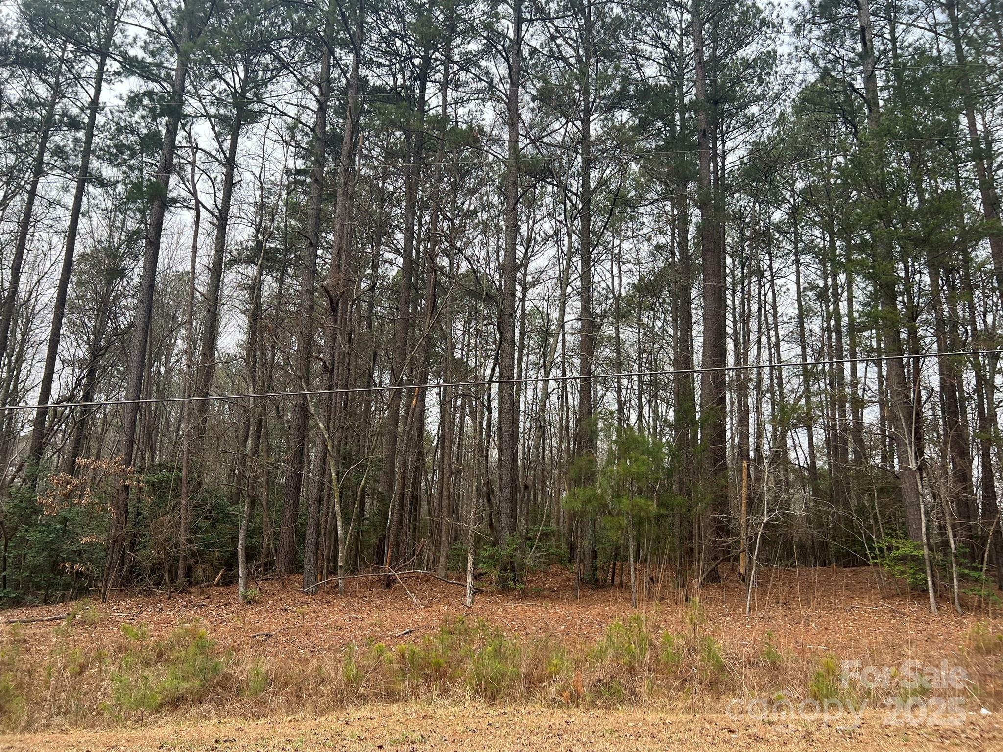 Property Photo:  2.55 Acres Sandy Ridge Church Road  NC 28338 