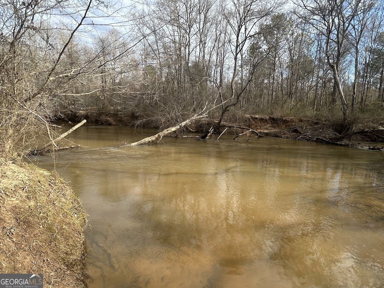 Property Photo: 149 River Cove GA 30117