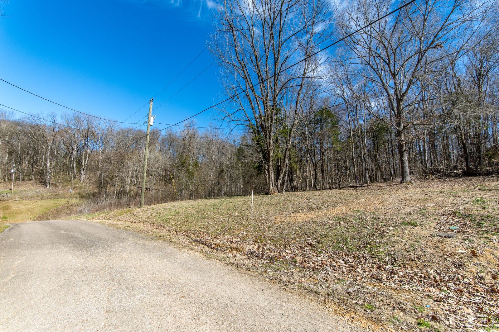 Property Photo: 0 Salt Ln TN 38372