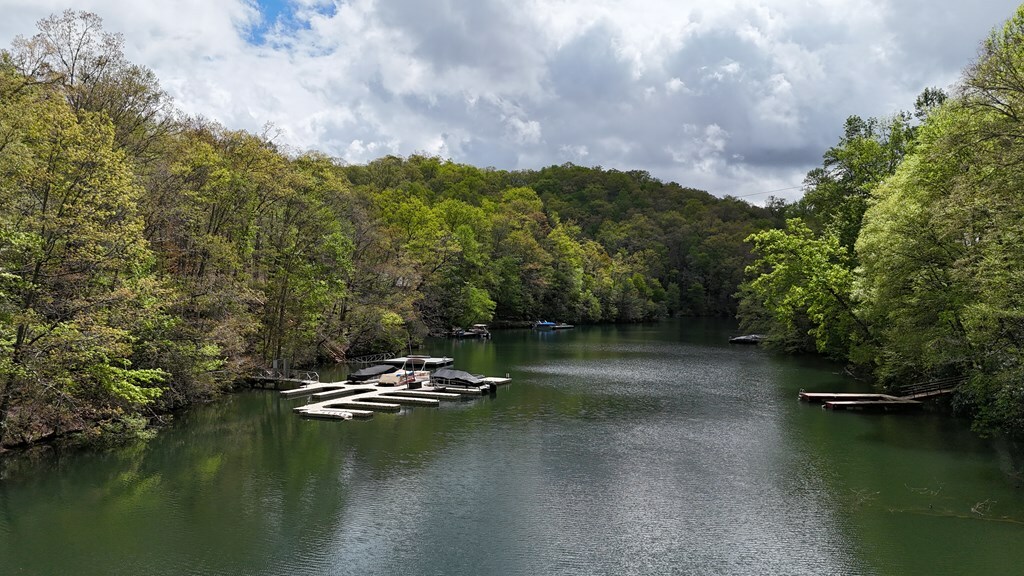 Property Photo: 967 Indian Lake Drive NC 28781