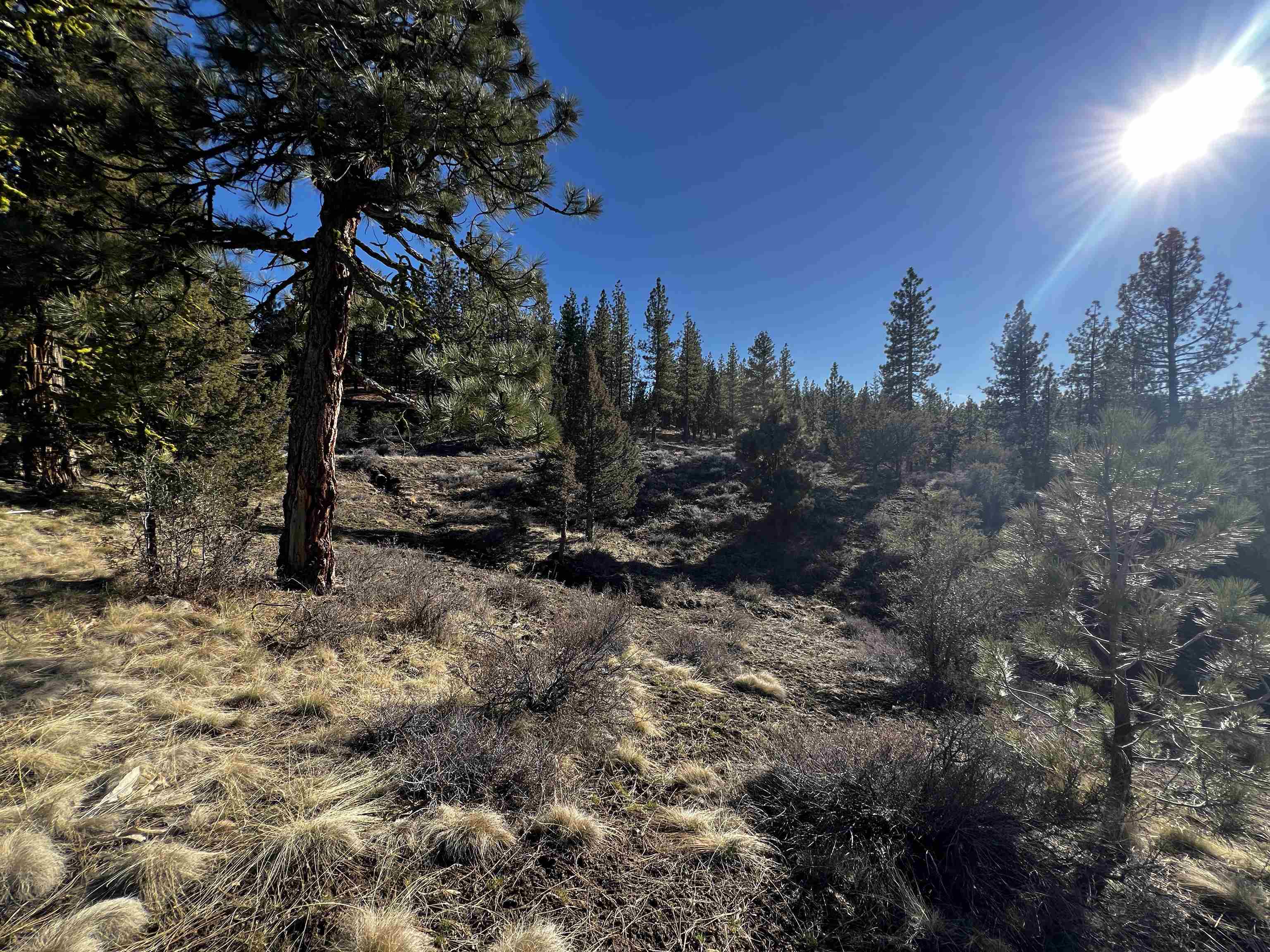 Property Photo:  22 Clouds Rest  CA 96122 