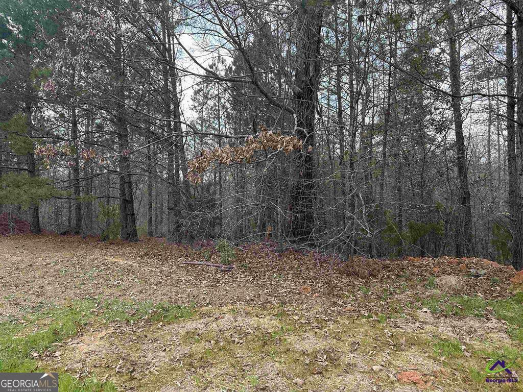 322 Wilsons Creek Bend  Bonaire GA 31005 photo