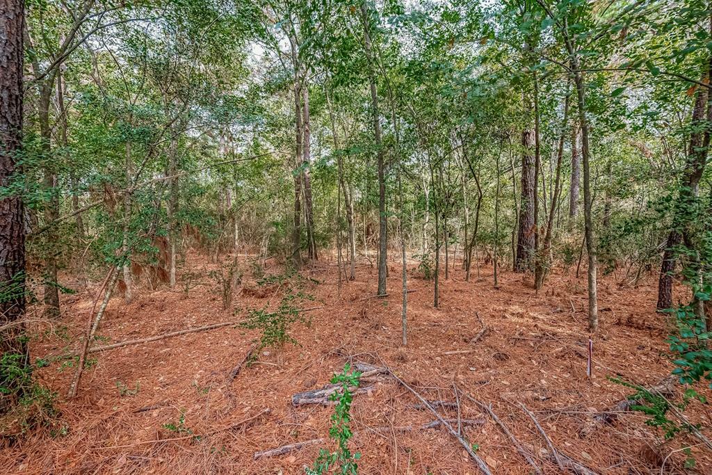 Property Photo: 00 Washington Street TX 77088