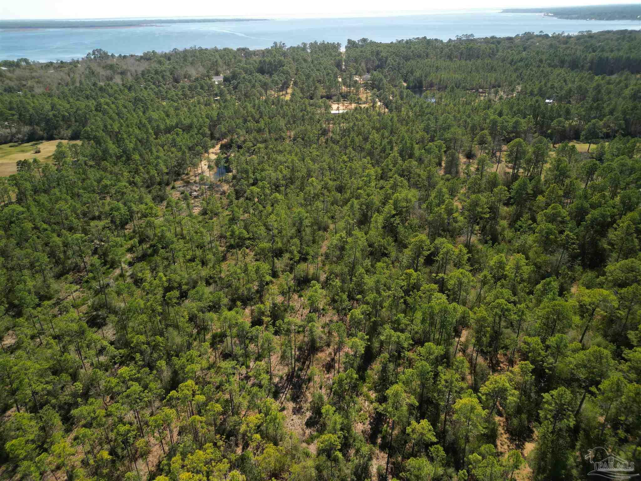 Property Photo:  Robinson Point Rd  FL 32583 