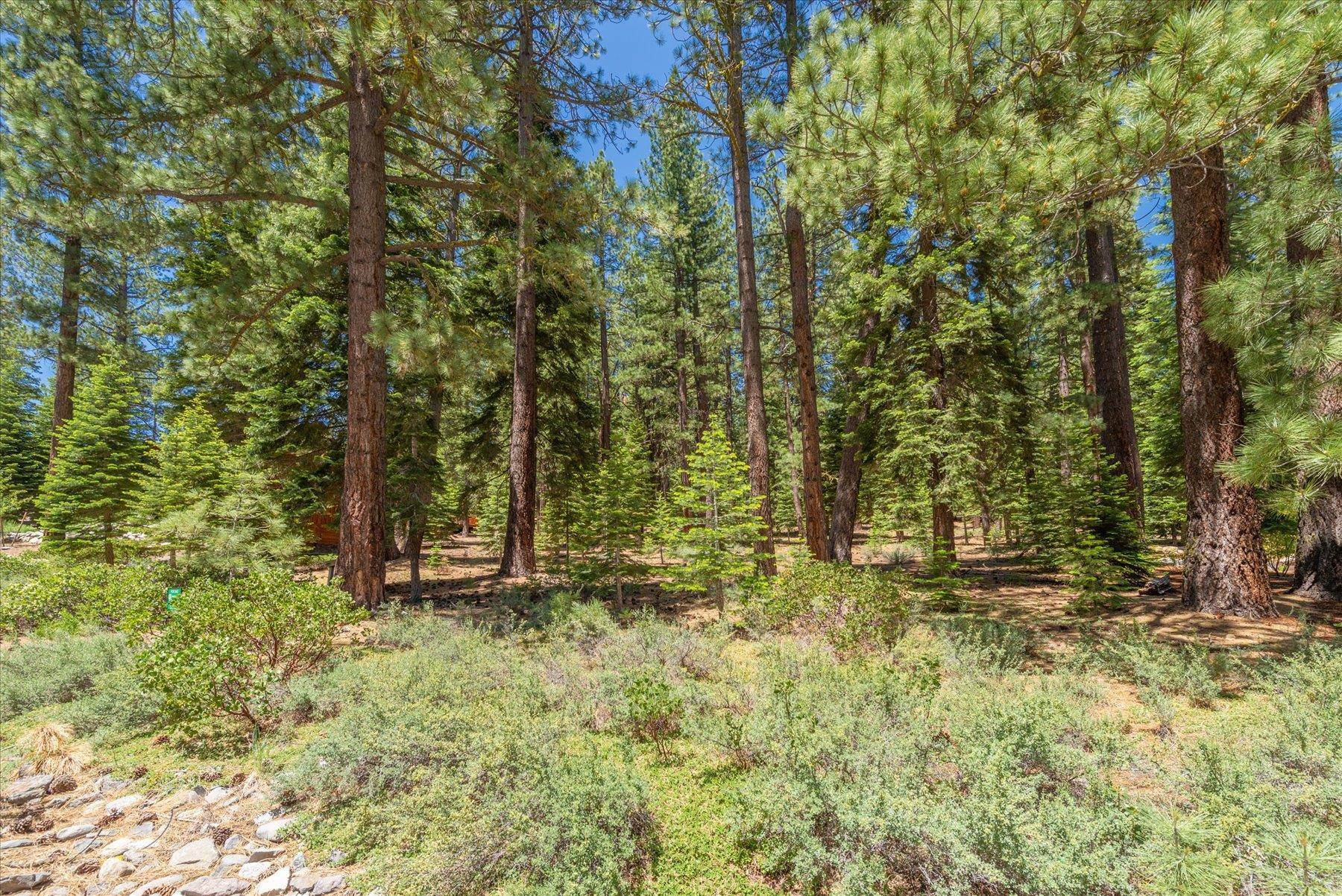 Property Photo: 11752 Saddleback Drive CA 96161