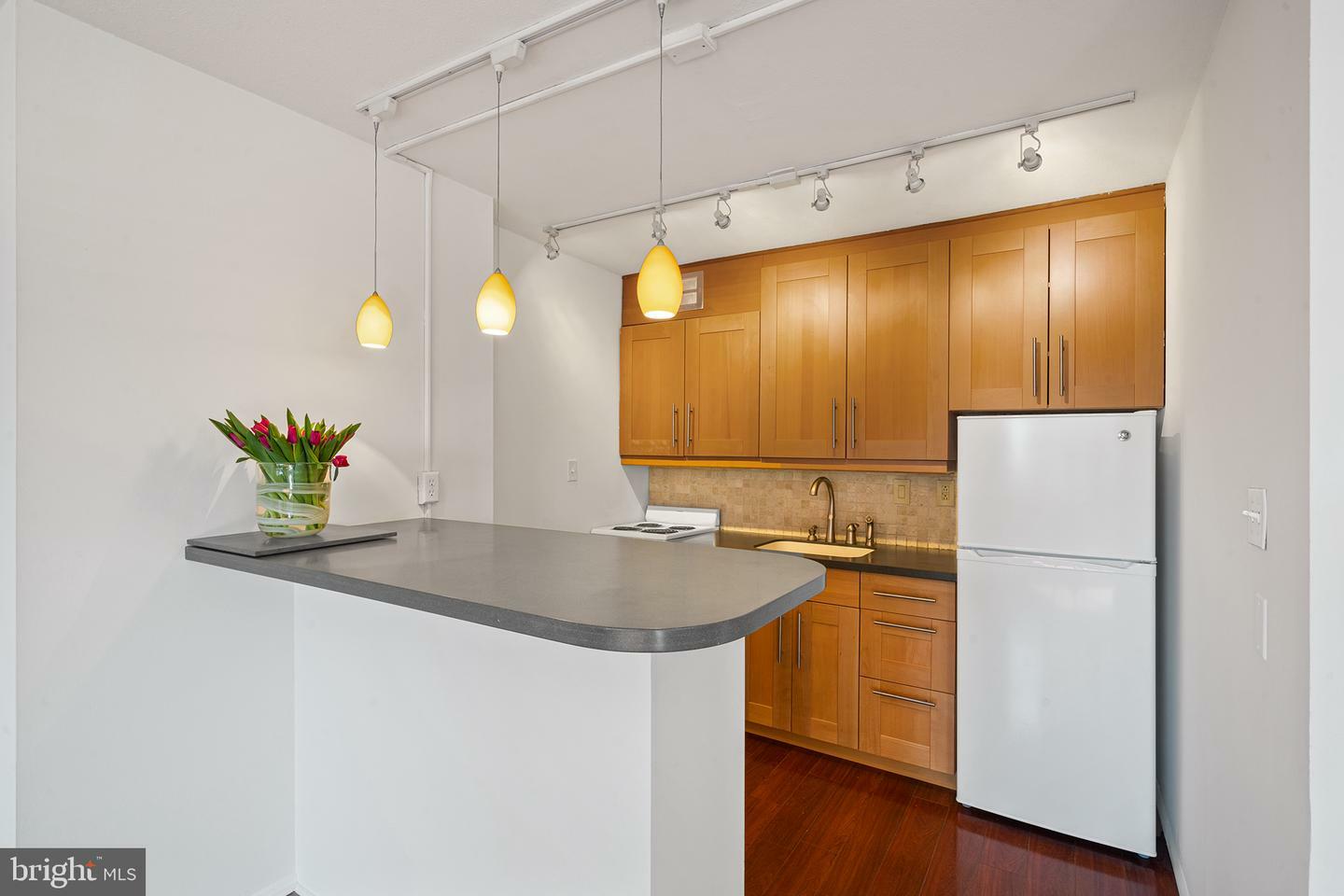 1919 Chestnut Street 1513  Philadelphia PA 19103 photo