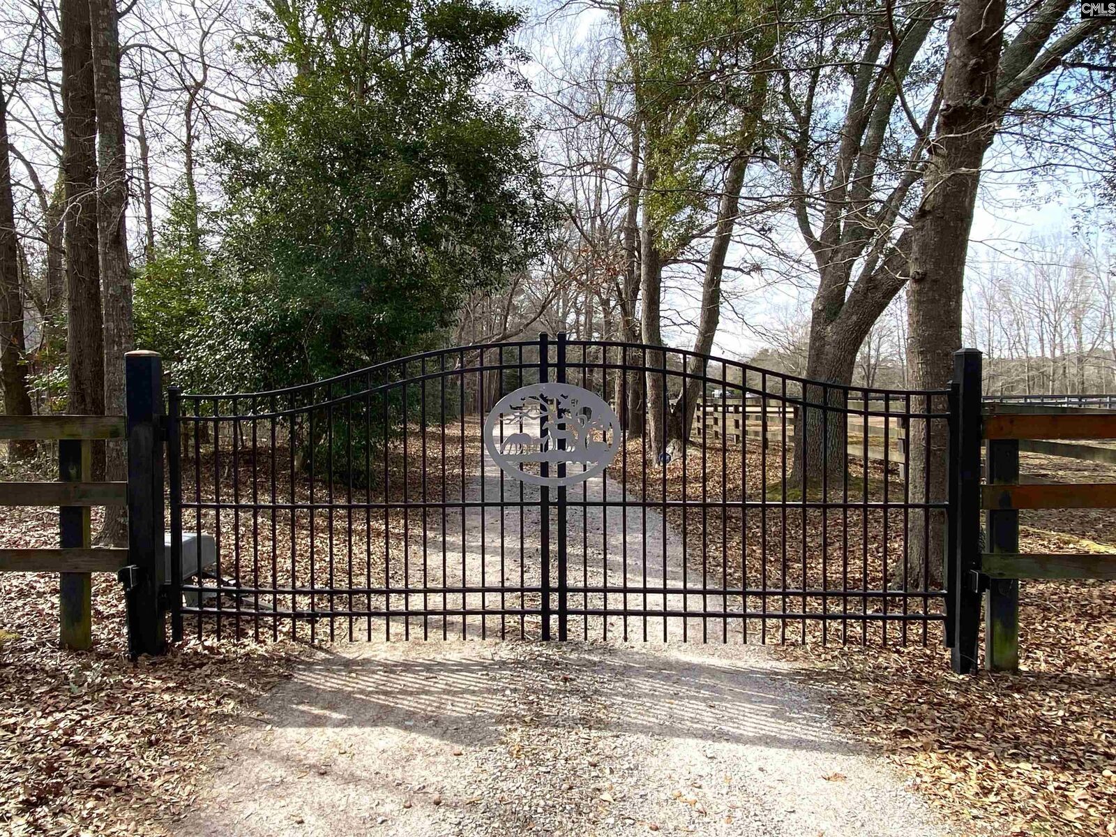 Property Photo:  316 Willow Wind  SC 29061 