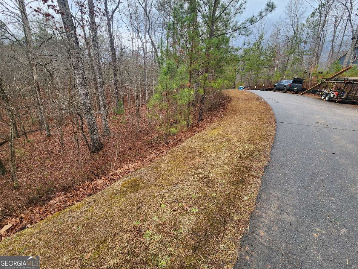 Property Photo: Lot 9 Harris Creek Drive GA 30540