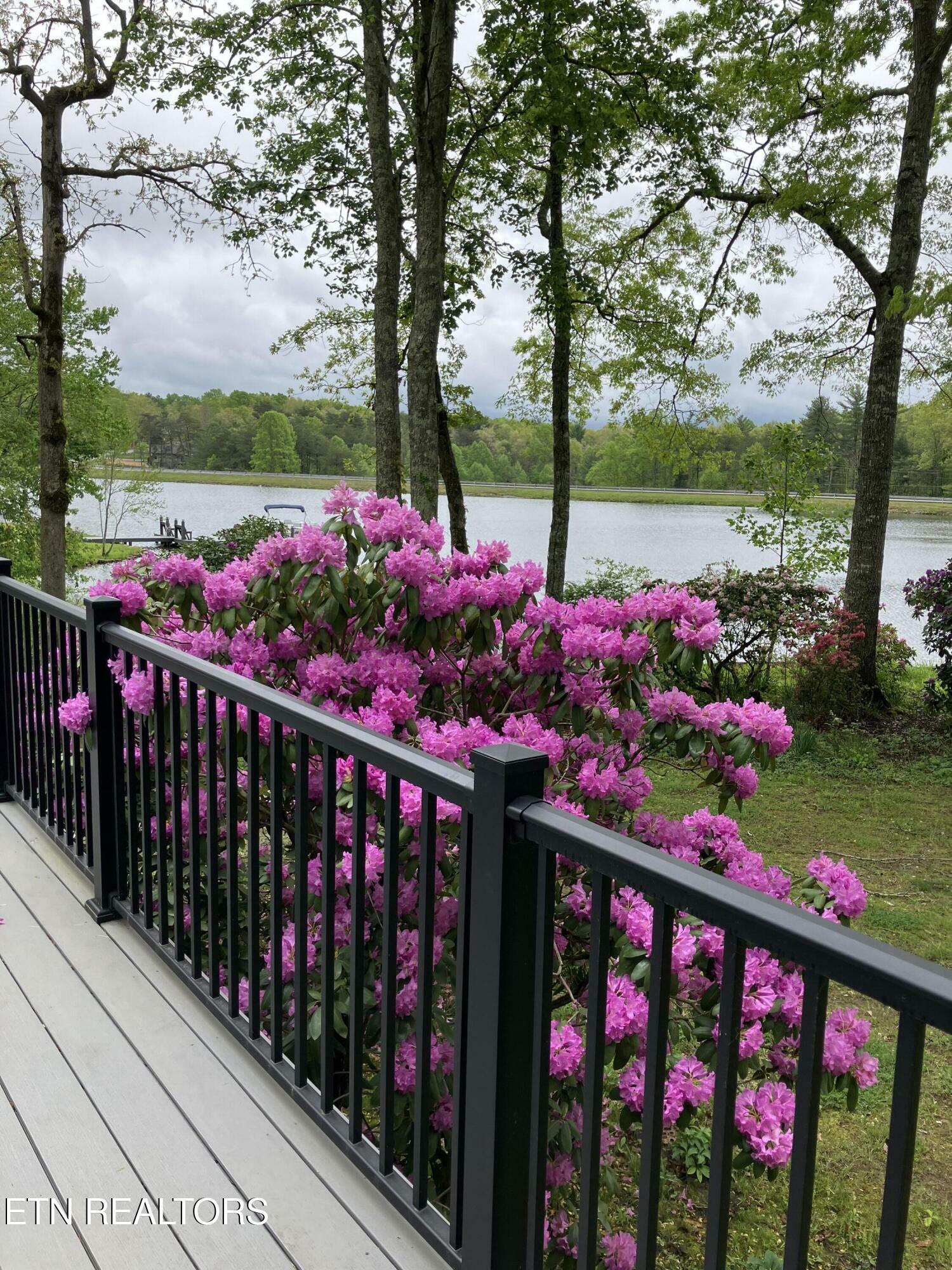 Property Photo: 232 Lakewood Drive TN 38558