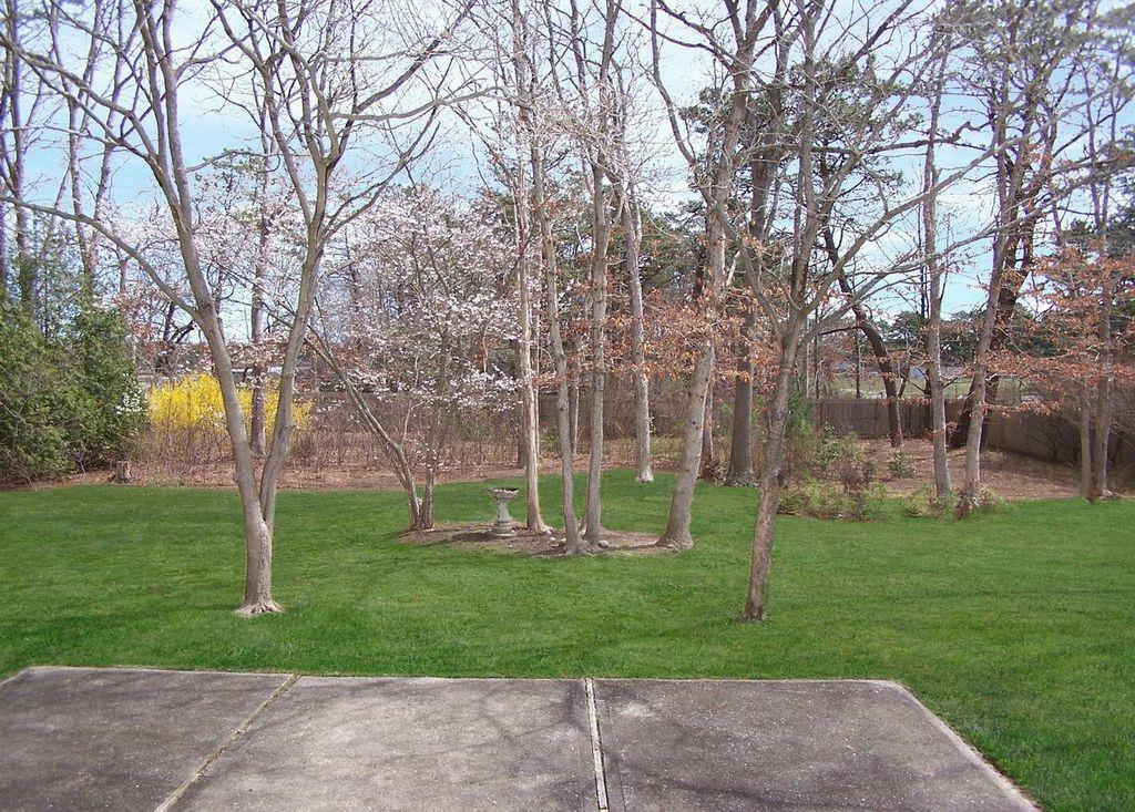 Property Photo: 0 Sipp Avenue NY 11763