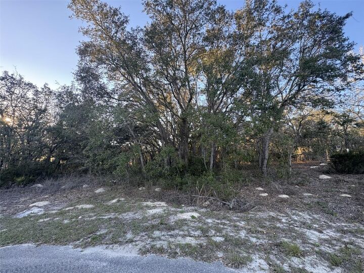 0 SW 147th Street Road  Ocala FL 34473 photo