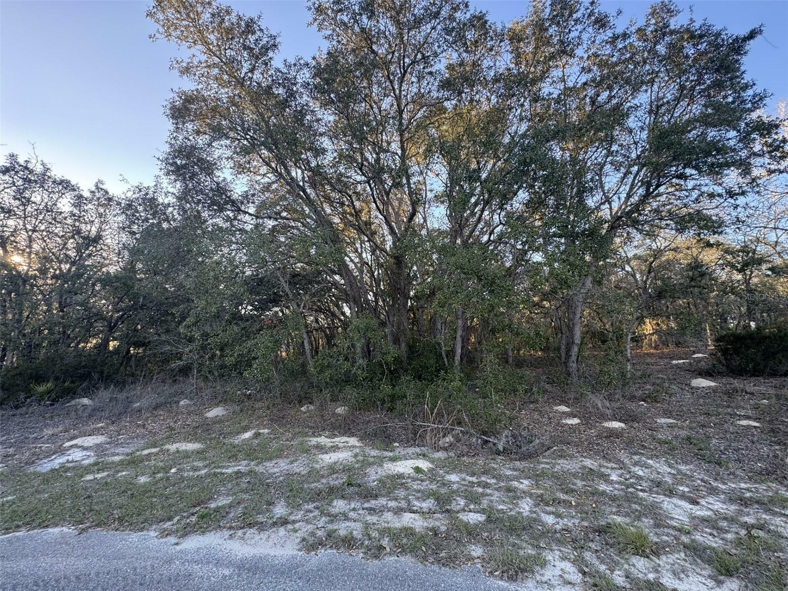 Property Photo:  0 SW 147th Street Road  FL 34473 