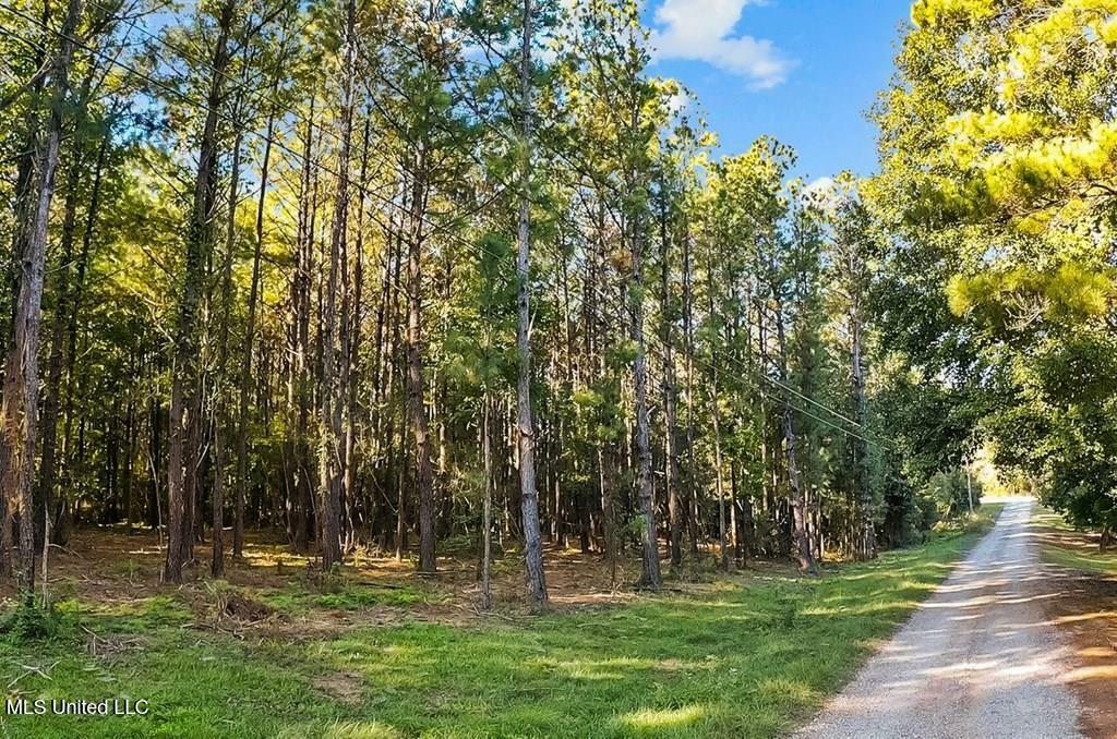 Property Photo: Cybur Hills Rd MS 39426