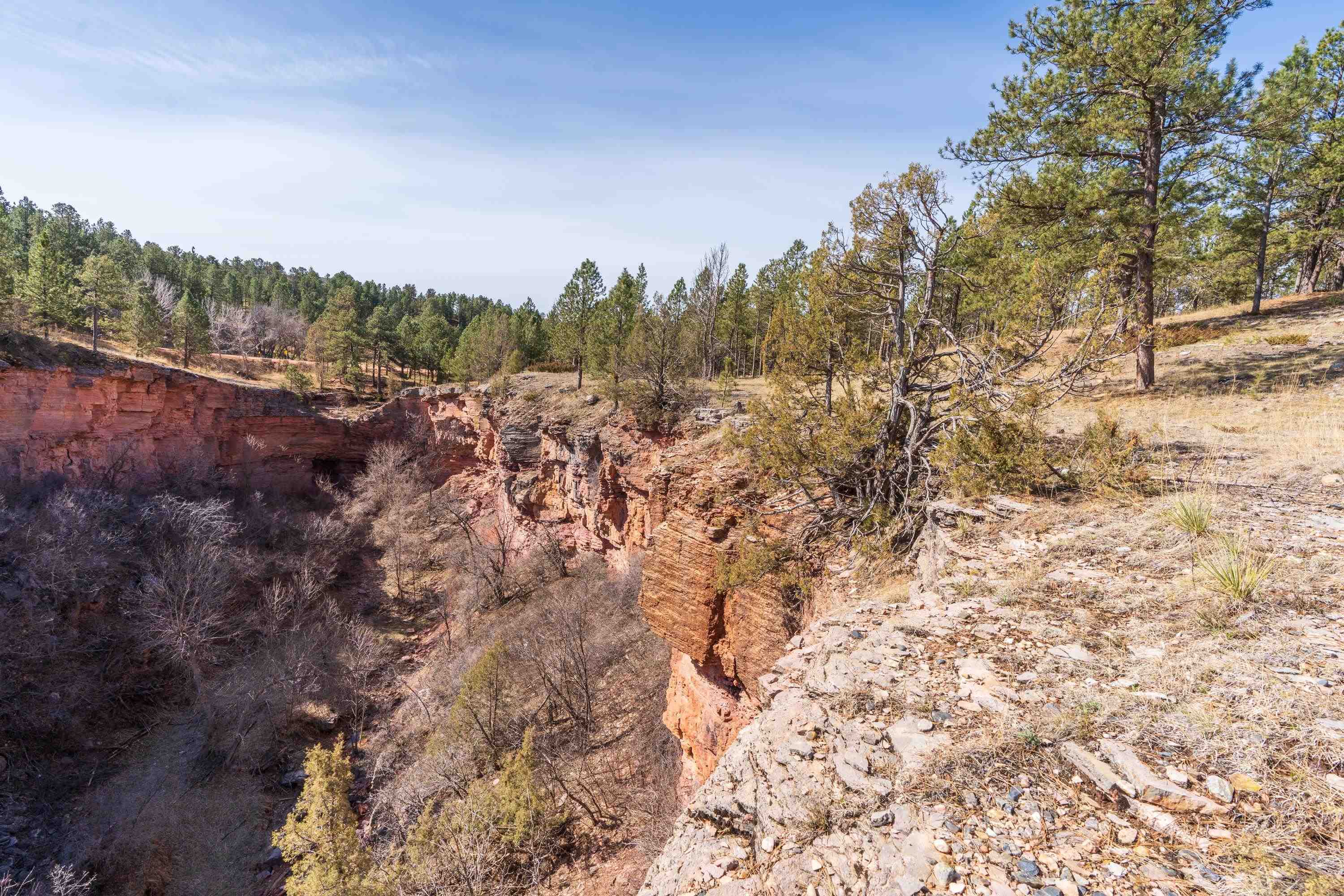 Parcel 6B Saddle Ridge Road  Hermosa SD 57744 photo