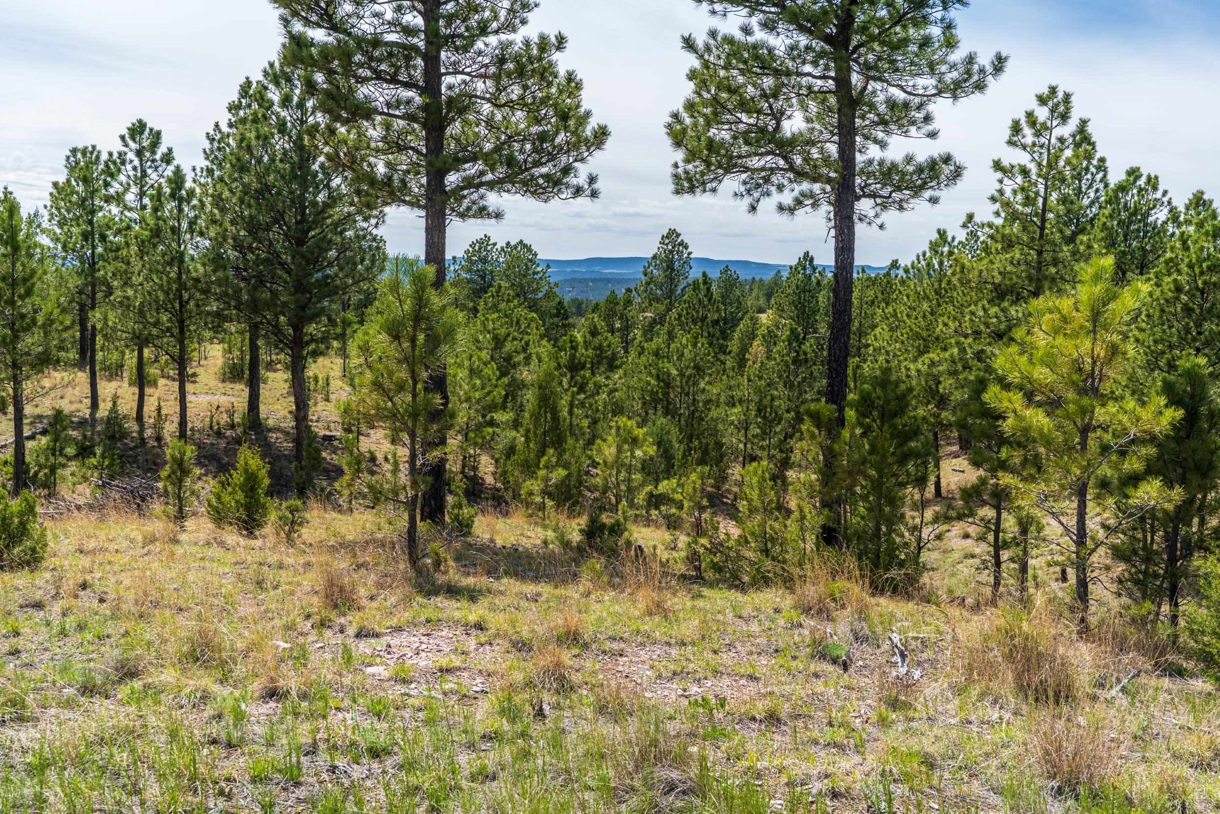 Property Photo: 26771 Elk Run Road SD 57747